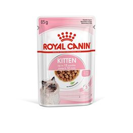 Pet city 2024 royal canin